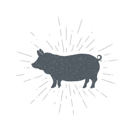 Hand drawn vintage pig. Sketch style. Vector illustration. T-shirt print. Poster.  Piglet. Pork. Meat.の写真素材