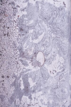 texture of the wallの写真素材