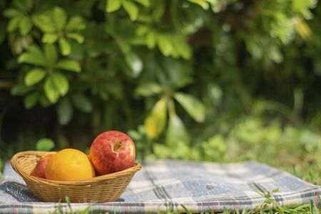 Apples and oranges in wicker trayの写真素材