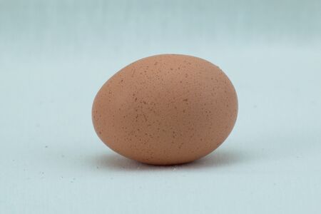 One colorful eggの写真素材