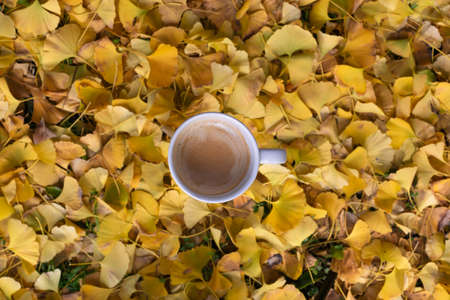 Raised white cup of coffee on background of dried yellow gingko biloba leaves