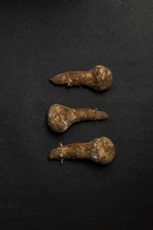 monsoon seasonal mushroom, high in calcium isolated on a black textured backgroundの写真素材