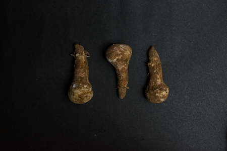 monsoon seasonal mushroom, high in calcium isolated on a black textured background