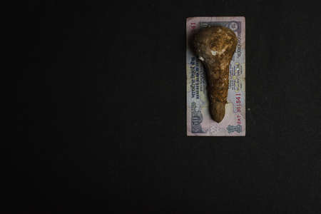 mushroom placed on indian currency on a black textured background, conceptual image, money conceptの写真素材