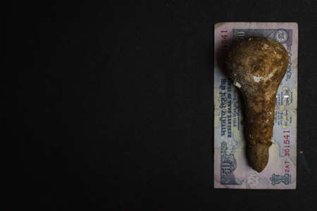 mushroom placed on indian currency on a black textured background, conceptual image, money conceptの写真素材