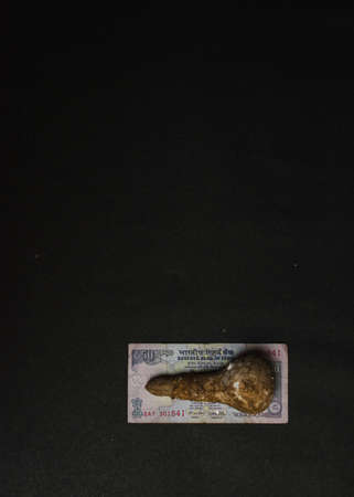 mushroom placed on indian currency on a black textured background, conceptual image, money conceptの写真素材