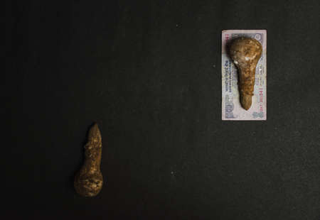 mushroom placed on indian currency on a black textured background, conceptual image, money conceptの写真素材