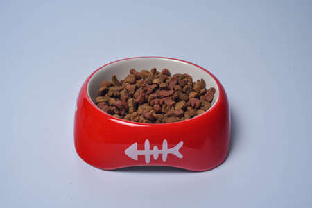 red cat bowl
