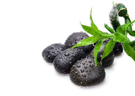 Zen stone and bamboo leaves with water dropsの写真素材