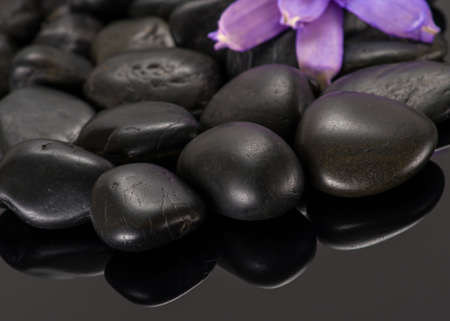 Stones with a flowerの写真素材