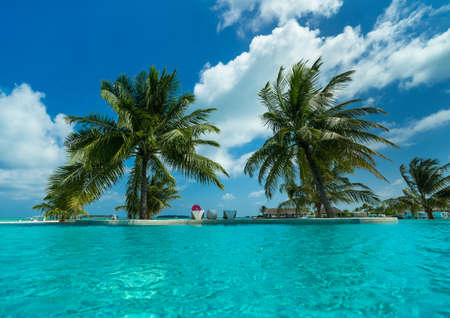 Tropical beach and poolのeditorial素材