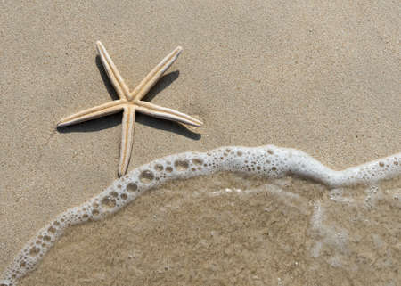 Overhead view of a starfish and wave on a smooth background of sand  Beautiful beach 