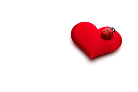 Hearts and ladybug for valentines day conceptの写真素材