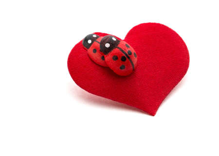 Love making ladybugs couple on the red heart   Creative concept card for Valentine s day