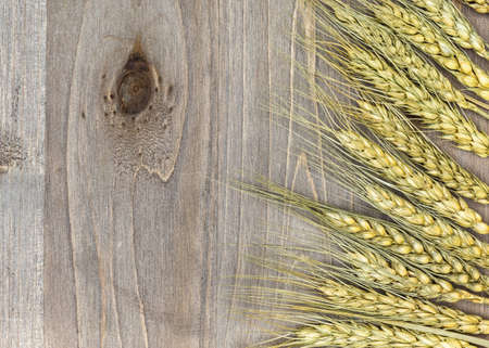 wheat on wooden background close up