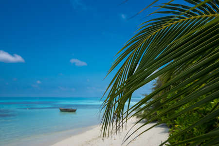 Perfect tropical island paradise beach