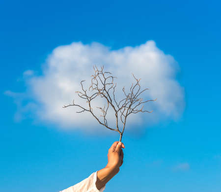 Tree in hand over against cloudの写真素材