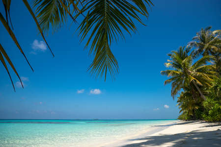 Perfect tropical island paradise beach and old boatの写真素材
