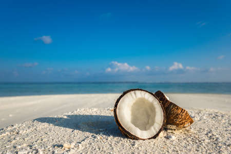 Opened coconut on the sandy beach of tropical islandの写真素材
