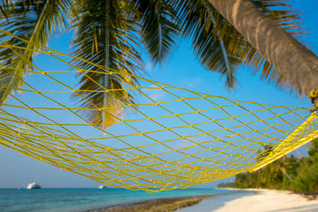 Travel concept with a hammock in a tropical beachの写真素材
