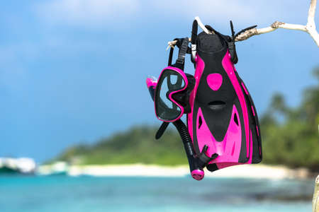 Mask with tube for snorkeling and flippers on the beachの写真素材