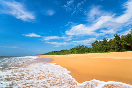 beautiful beach and tropical seaの写真素材