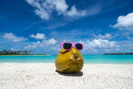 coconut funny wearing sunglasses on the beachの写真素材