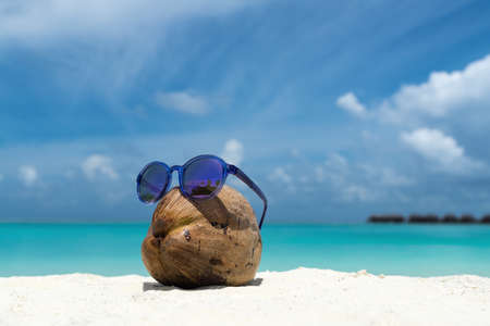 coconut funny wearing sunglasses on the beachの写真素材