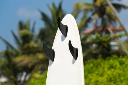 surfboards lays on the tropical beachの写真素材