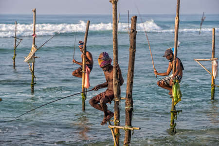 WELIGAMA, SRI LANKA - JANUARY 11 2017: Unidentified local fishermen are fishing in unique style. This type of fishing is traditional for Sri Lanka in Indian ocean.のeditorial素材