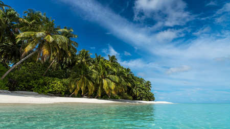 Beautiful beach. View of nice tropical beach with palms around. Holiday and vacation concept....