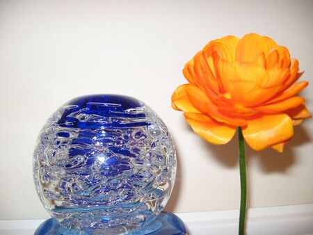 Globe and Flowerの写真素材
