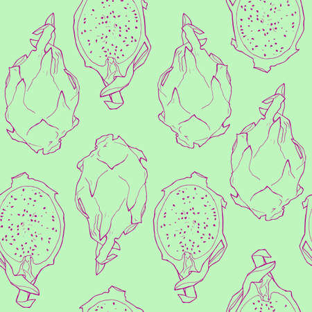 Vector hand drawn abstract tropical light green seamless pattern of exotic fruit pitaya. Dragon fruit illustration. Bright pitahaya desert abstract drawing. Tropical vegeterian food design element.のイラスト素材