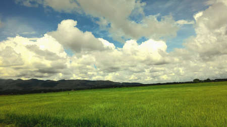 Cloud in rainy seasonの素材