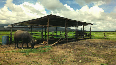 Eatting timeの素材