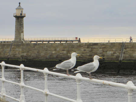 Whitby jetty south sideの写真素材