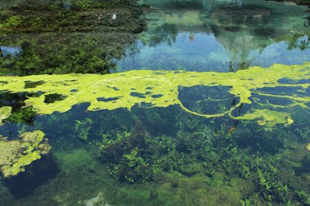 Clear reflectionの写真素材