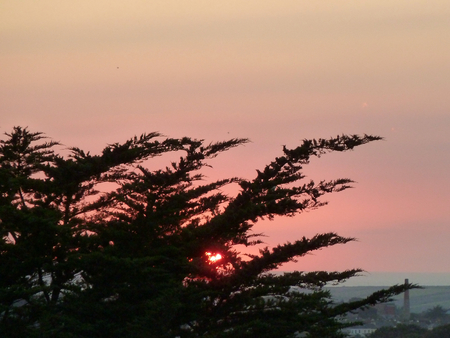 Bright orange setting sun through tree branchesの写真素材