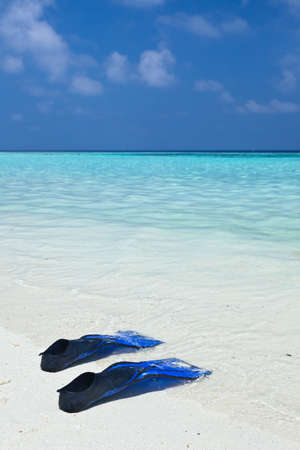 Flippers on the waters edge of a beachの写真素材