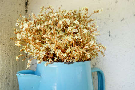 Dried flower in vaseの写真素材