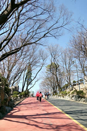 People walking along lane in Namsan park . This park is considered Seoul's principal park and on average welcomes 23,000 visitors every day.のeditorial素材