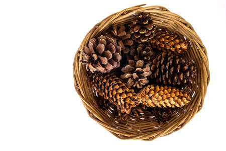 Pine cones in the basket.の写真素材