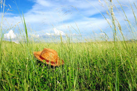 Straw Hat on grass field, in sunlight