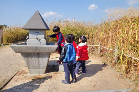 Seoul, South Korea : 28 OCTOBER 2015 : Group of children on a field trip at Hanuel Park, Seoul, South Korea.のeditorial素材