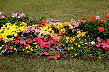 Landscaped flower garden
