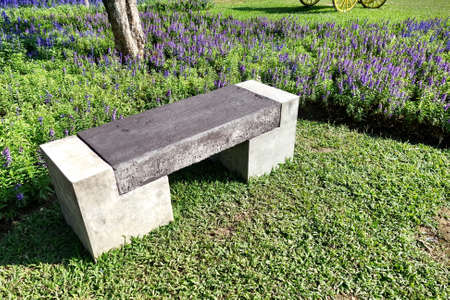 Bench in flower garden