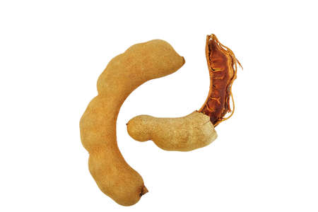 Tamarind on white backgroundの写真素材