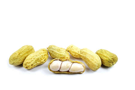 Peanuts on white background