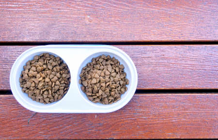 dried dog food in plastic bowl, wooden floor.の写真素材