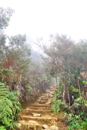 hiking trail at Mount Kinabalu, sabah, Malaysiaの写真素材